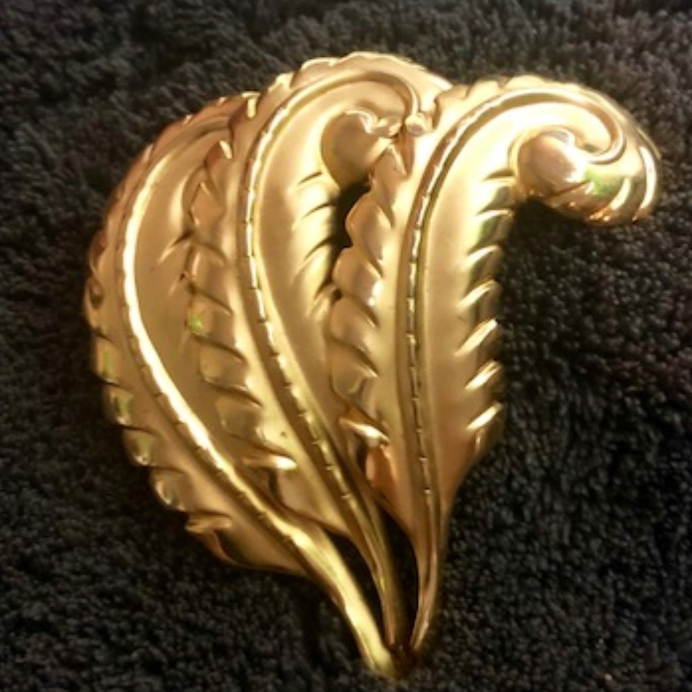 Golden Feather Pin.